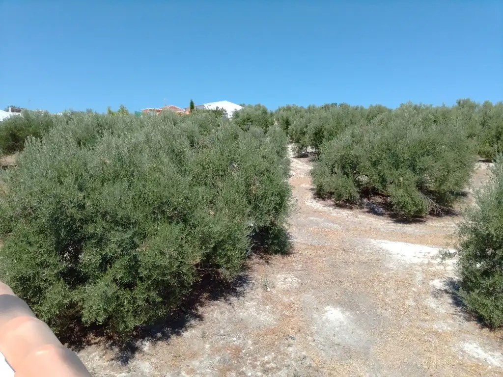 Adossat en venda a Martos, imagen 4