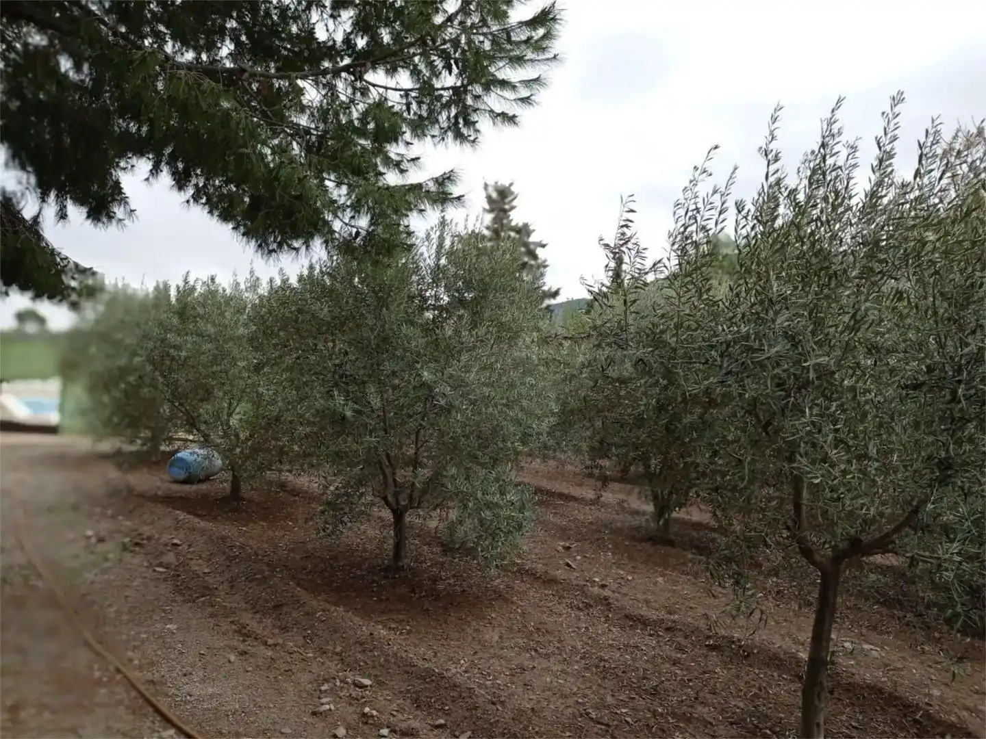 Pis en venda en Alhama de Murcia