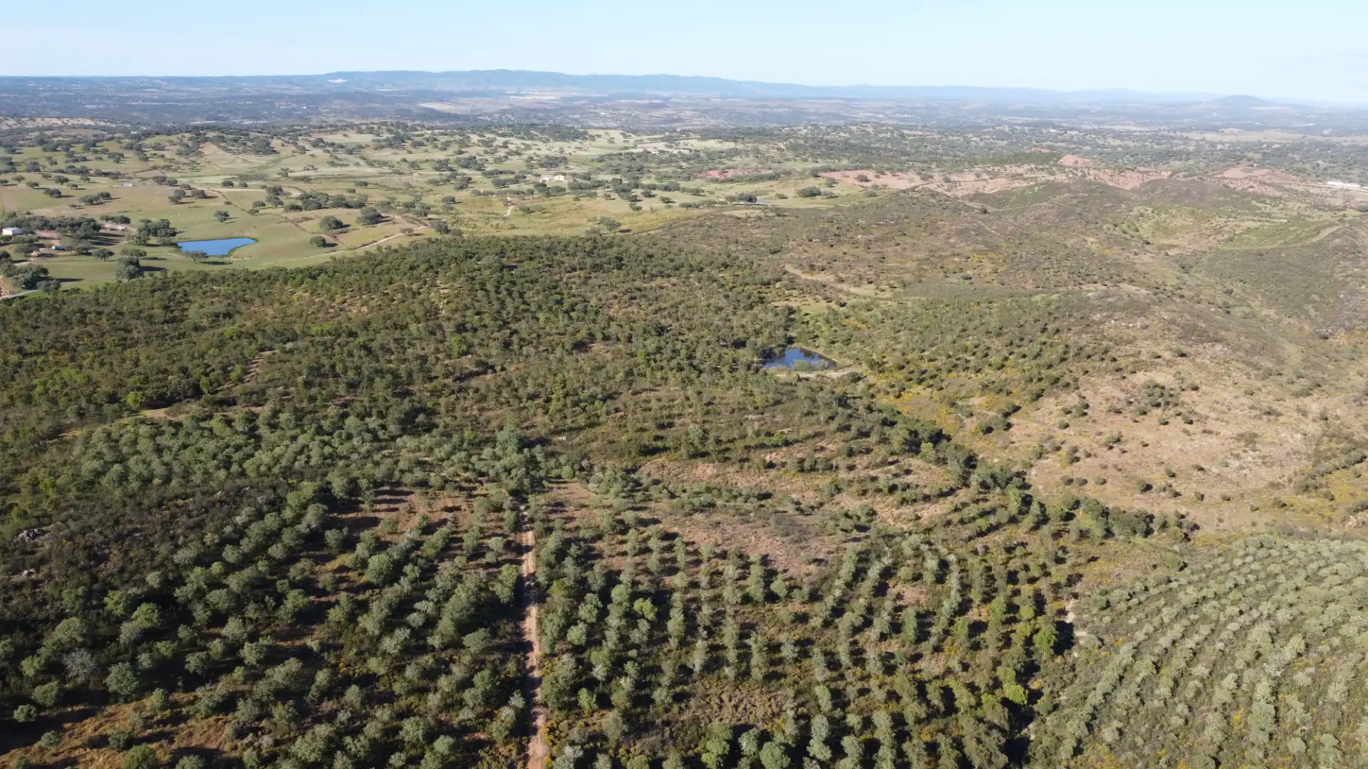 Finca rústica en venta en Paymogo con Jardín privado, Terraza y Amueblado