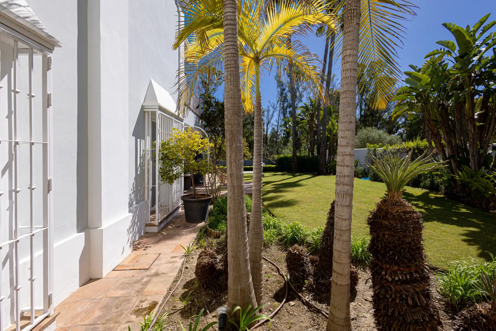 Jardín de Casa o chalet de alquiler en Estepona con Jardín privado, Terraza y Piscina