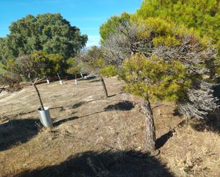 Country house for sale in Brunete