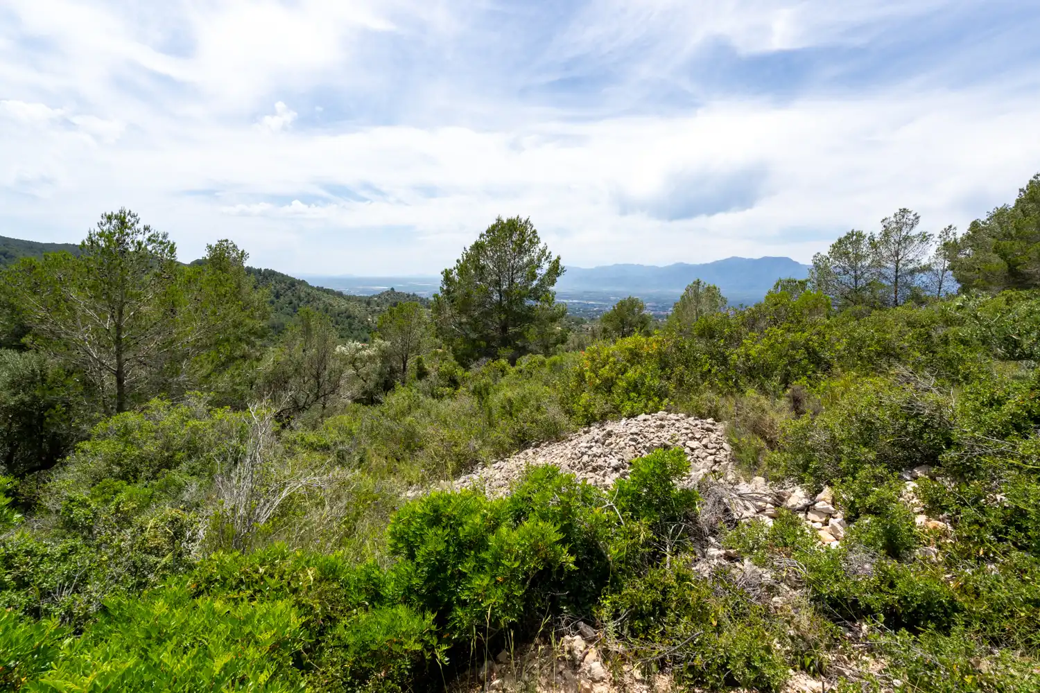 Terrain rustique à vendre à Camí dels Corrals de la Riba 9, imagen 10