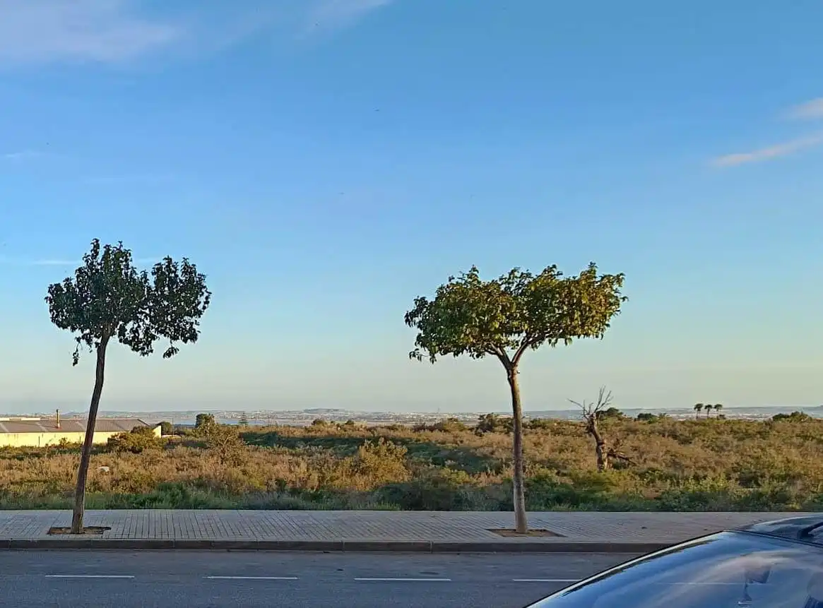Local comercial en venta en Crevillent, imagen 2
