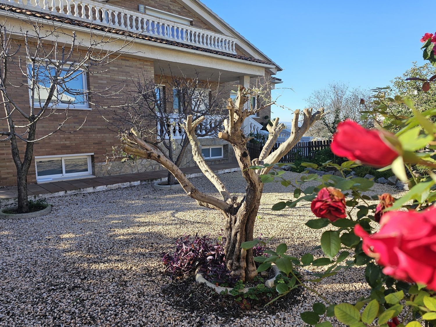 Jardín de Casa o chalet en venta en Castellbisbal con Jardín privado, Trastero y Piscina comunitaria