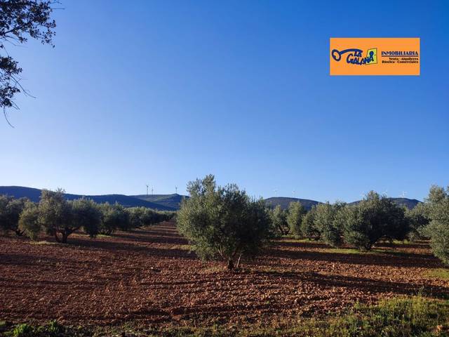 Terreno en Venta en Valdepeñas