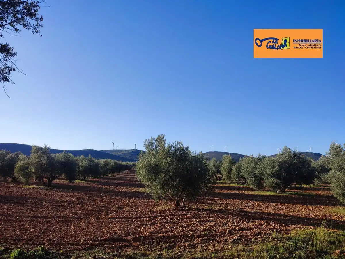 Rural land for sale in Valdepeñas