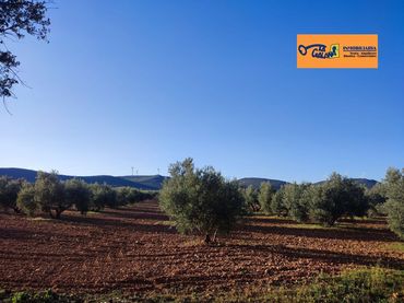 Rustikales Grundstück zum Verkauf in Valdepeñas