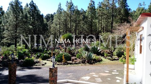 Foto 2 de Finca rústica en venda a Montaña - Zamora, Los Realejos