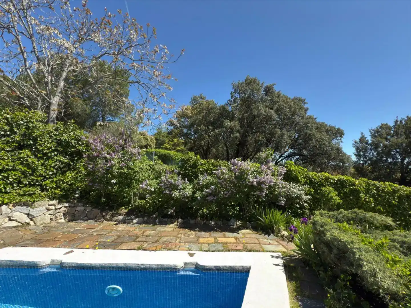 Garden of Flat for sale in Los Peñascales