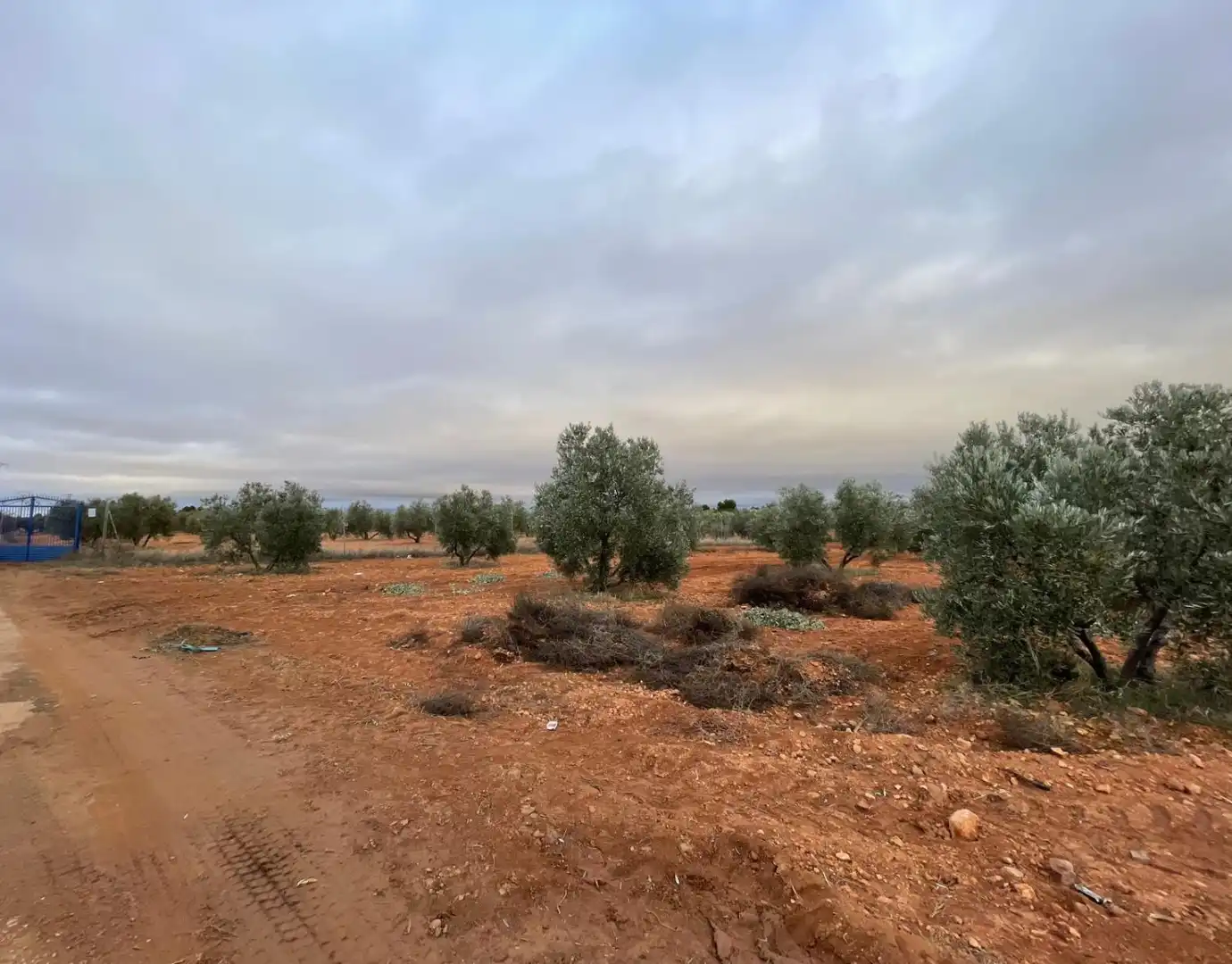 Lands and plots for sale in Valdepeñas, imagen 15