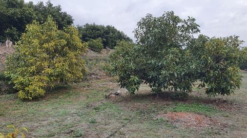 Guájar AltoFinca Rustica, imagen 4