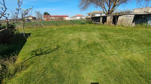 Foto 5 de Terreno en venta en Camino Salida Benavente, Santa Colomba de las Monjas, Zamora