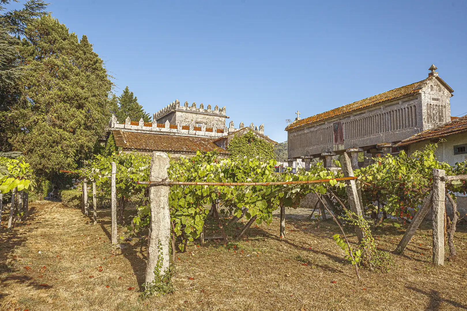 Jardín de Finca rústica en venta en Pontevedra Capital 