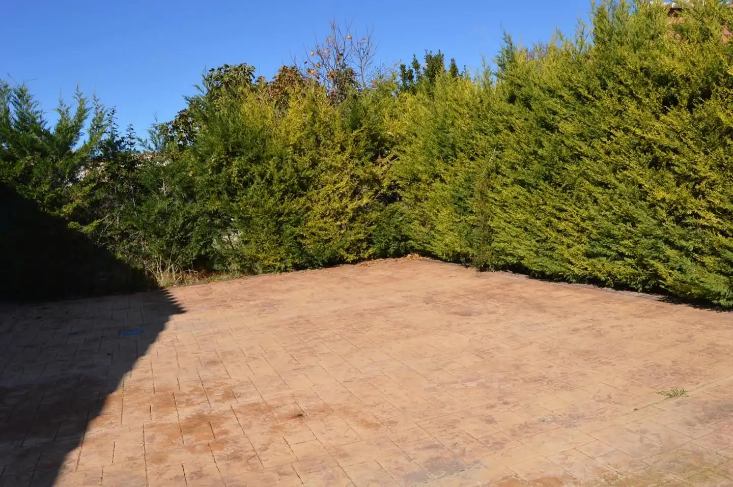Detached homes for sale in Tribaldos