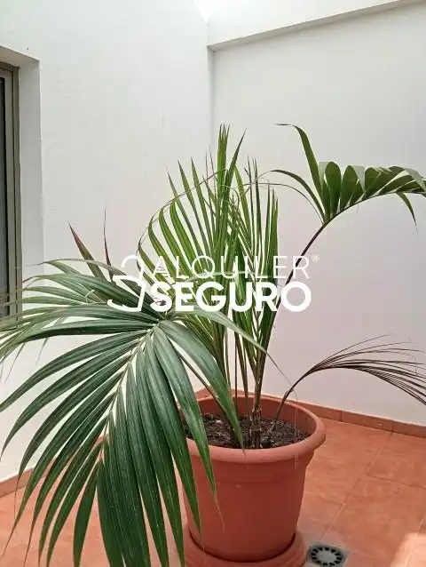 Flat for rent in ruiz, San Gregorio