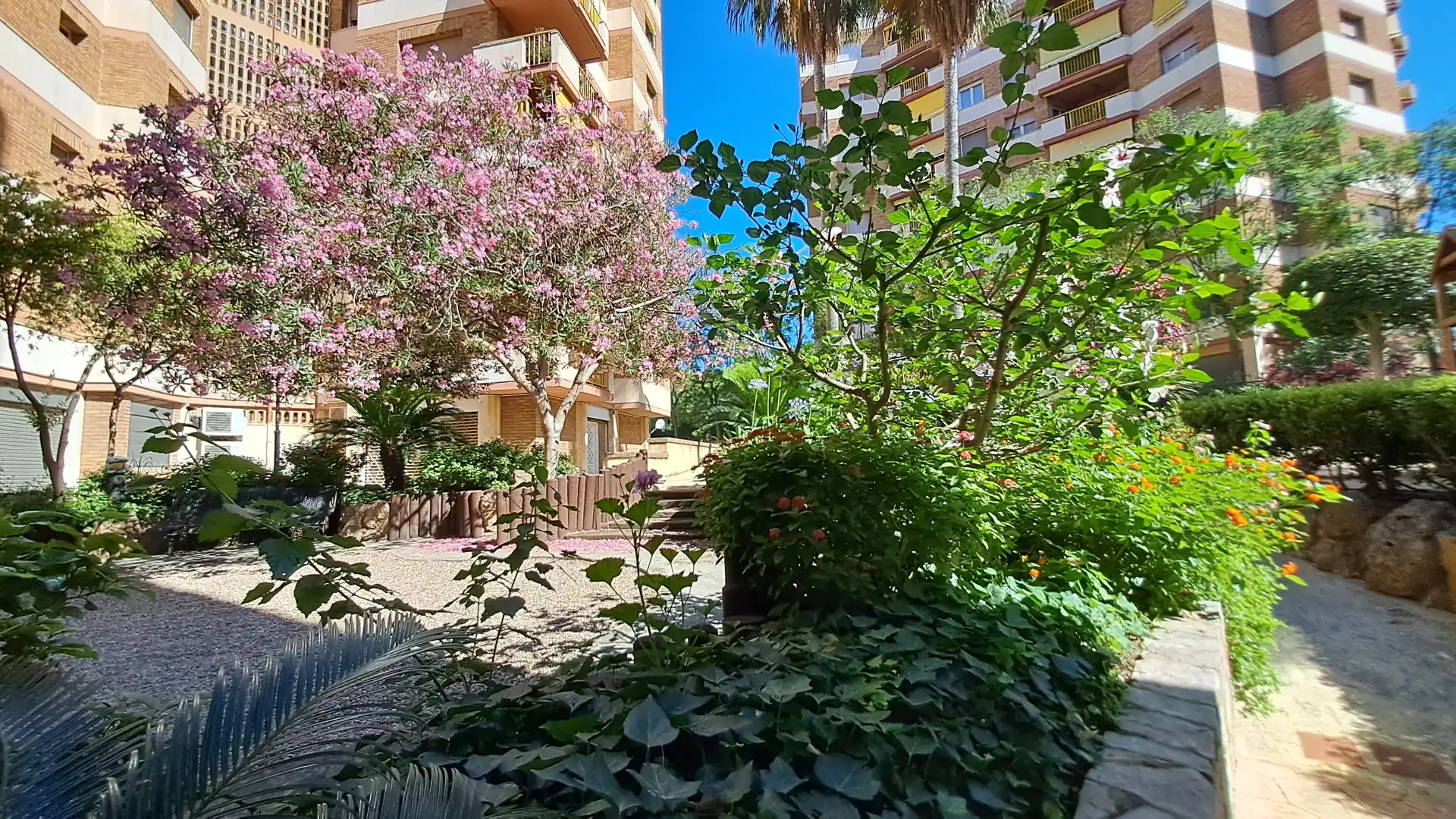 Wohnung zur Miete in Carrer Fra Antoni Cardona i Grau, Nou Eixample Nord