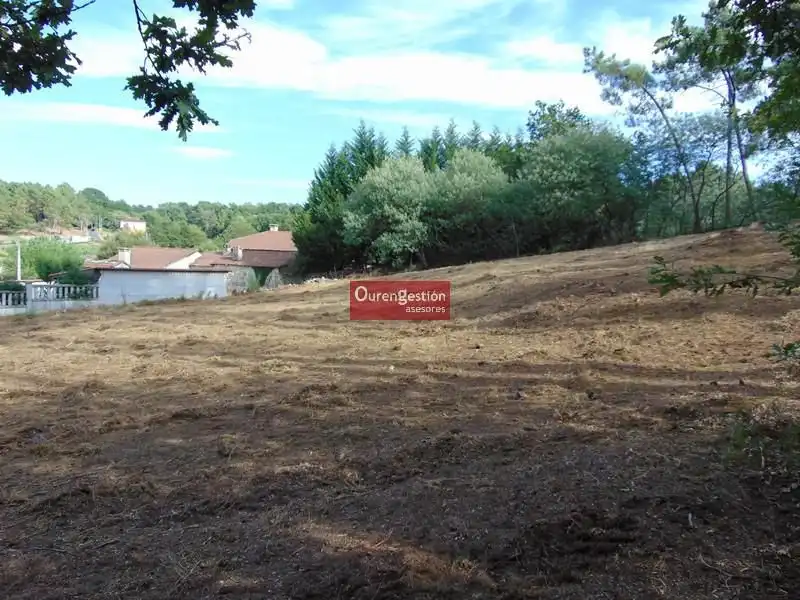 Terreni e lotti in vendita a Amoeiro, imagen 12