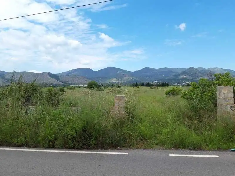 Terreny rústic en venda a PARAJE TORRE DEL BARÓN