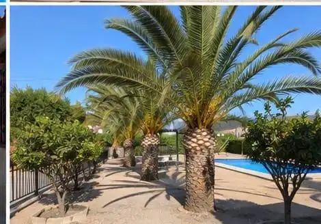 Exterior view of Country homes for sale in Sax  with Private garden, Storage room and Swimming Pool