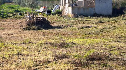 Parcela Rústica de 6.316 m2 en Felanitx  Zona Segona Volta, imatge 3