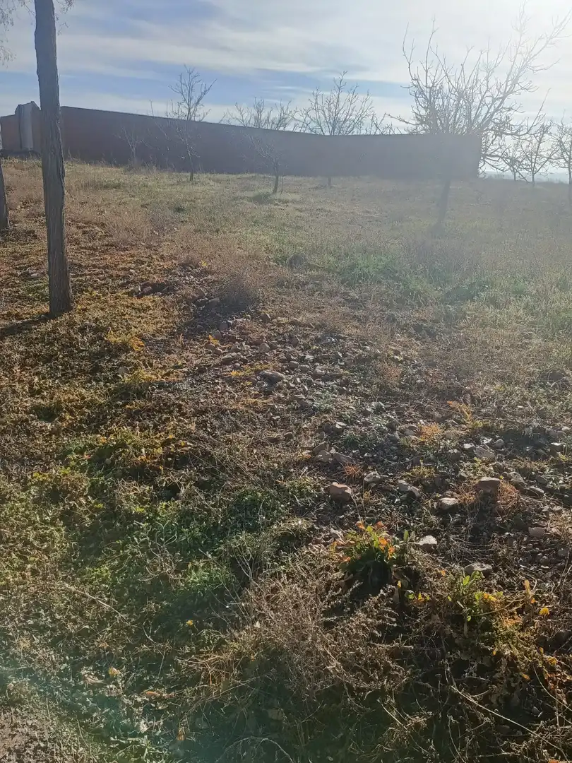 Terreno en venta en Manzaneque