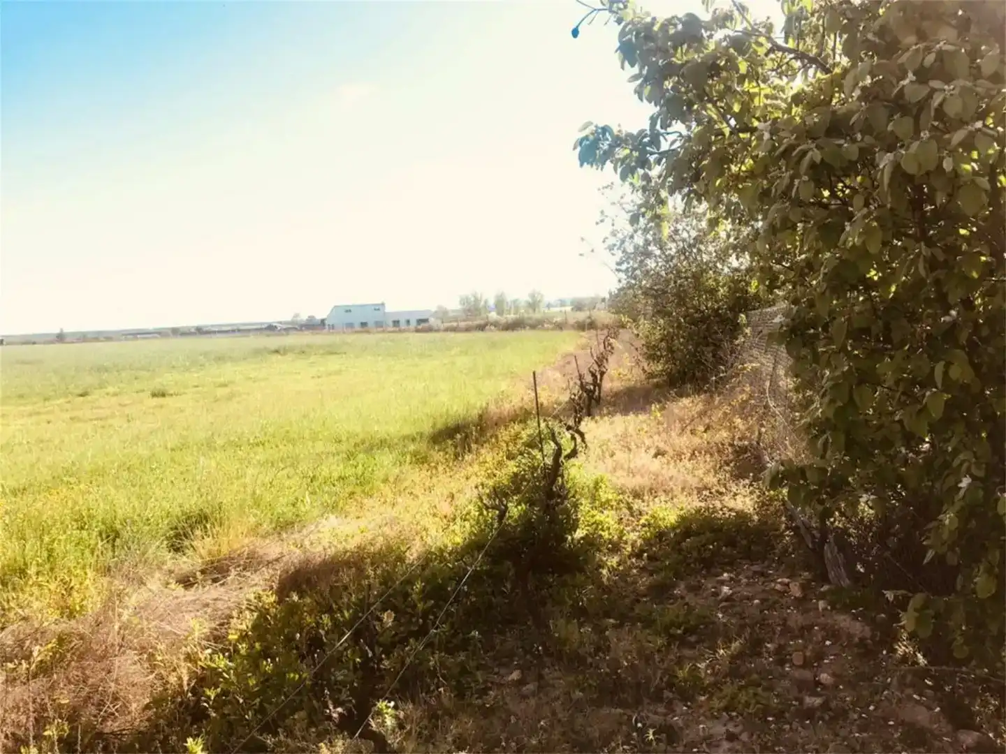 Land for sale in Moraleja