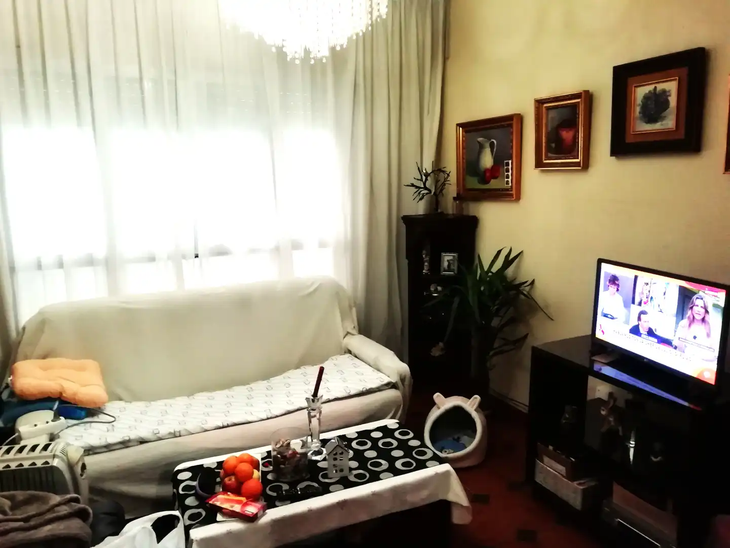 Rez-de-chaussée à vendre à Carrer del Sequial, imagen 2