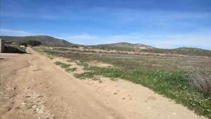 Rural land for sale in Pd Alciri, imagen 18