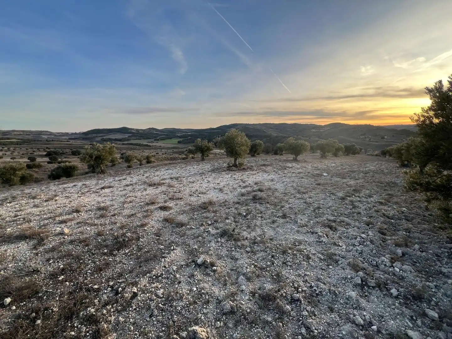Rural land for sale in Polígono, imagen 2