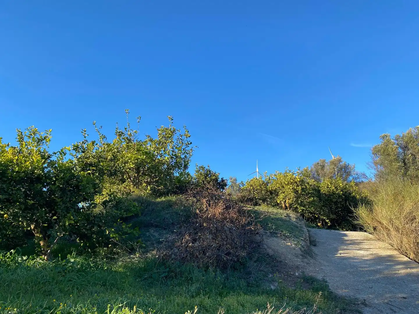 Terrain rustique à vendre à Lecrín, imagen 7
