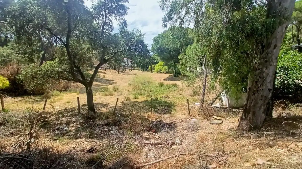 Lands and plots for sale in Campamento