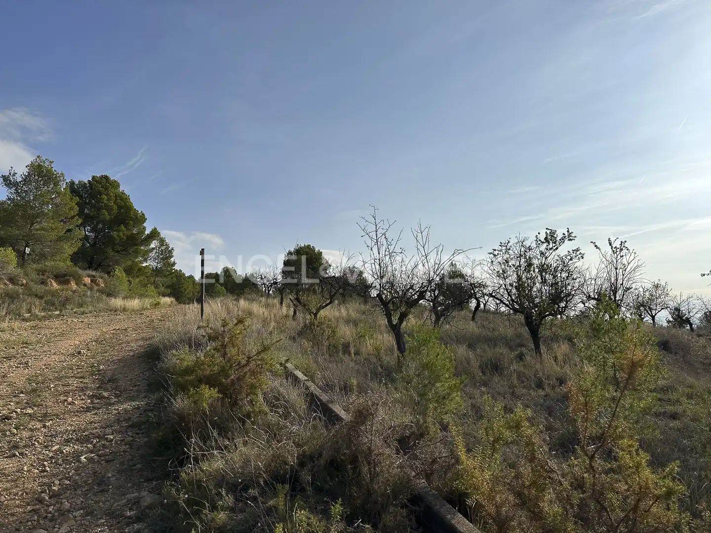 Residential land for sale in Torrelles de Foix, imagen 8