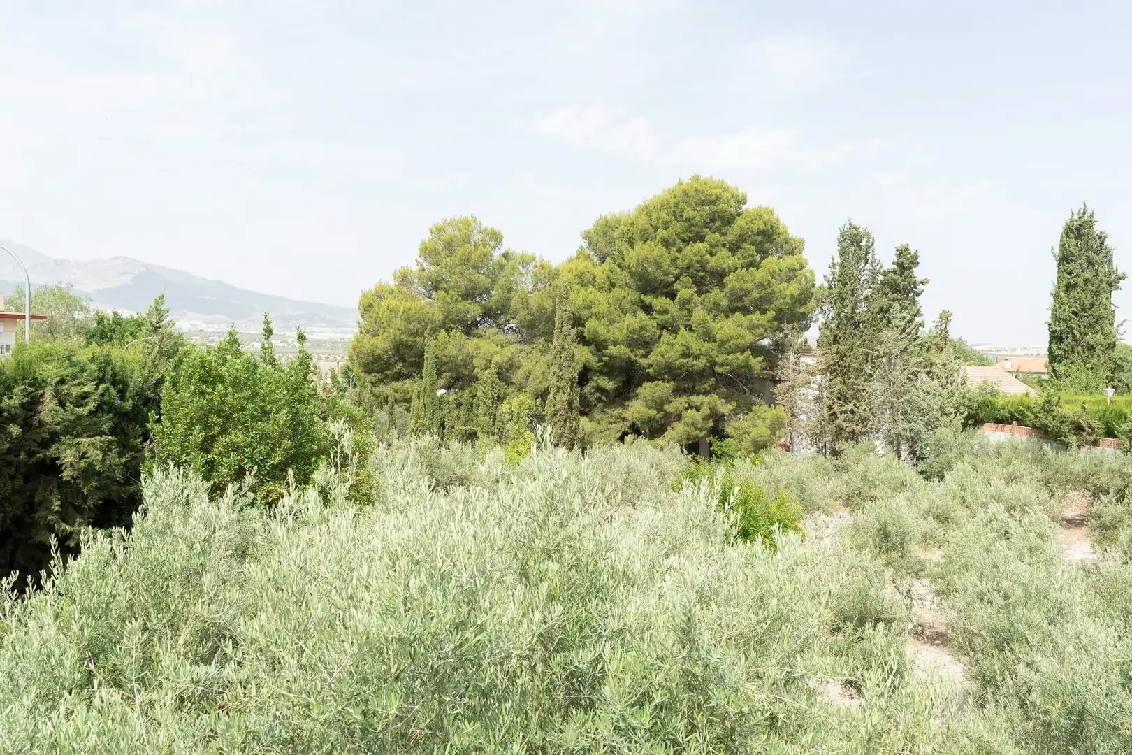 Casa o chalet en venta en Jaén