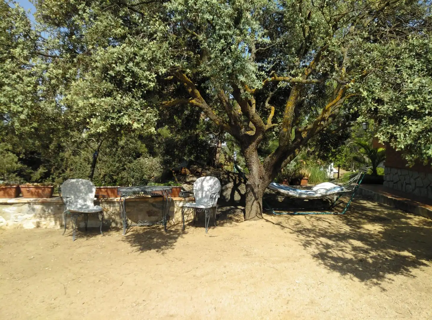 Chalet en venta en CERRO PALOS poligono 45 parcela 63, imagen 65