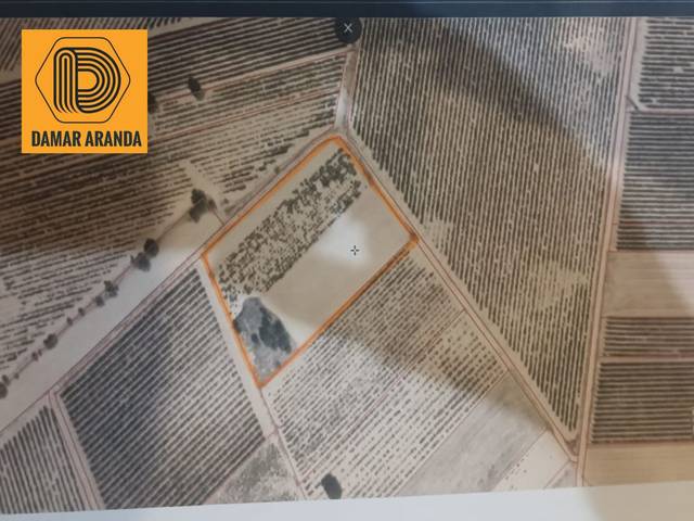 Terreno en Venta en N/A, -1 en Castrillo de la Vega