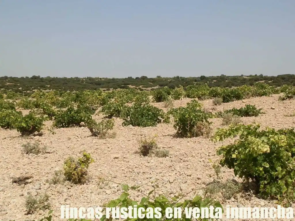 Terreni e lotti in vendita a Mota del Cuervo, imagen 10