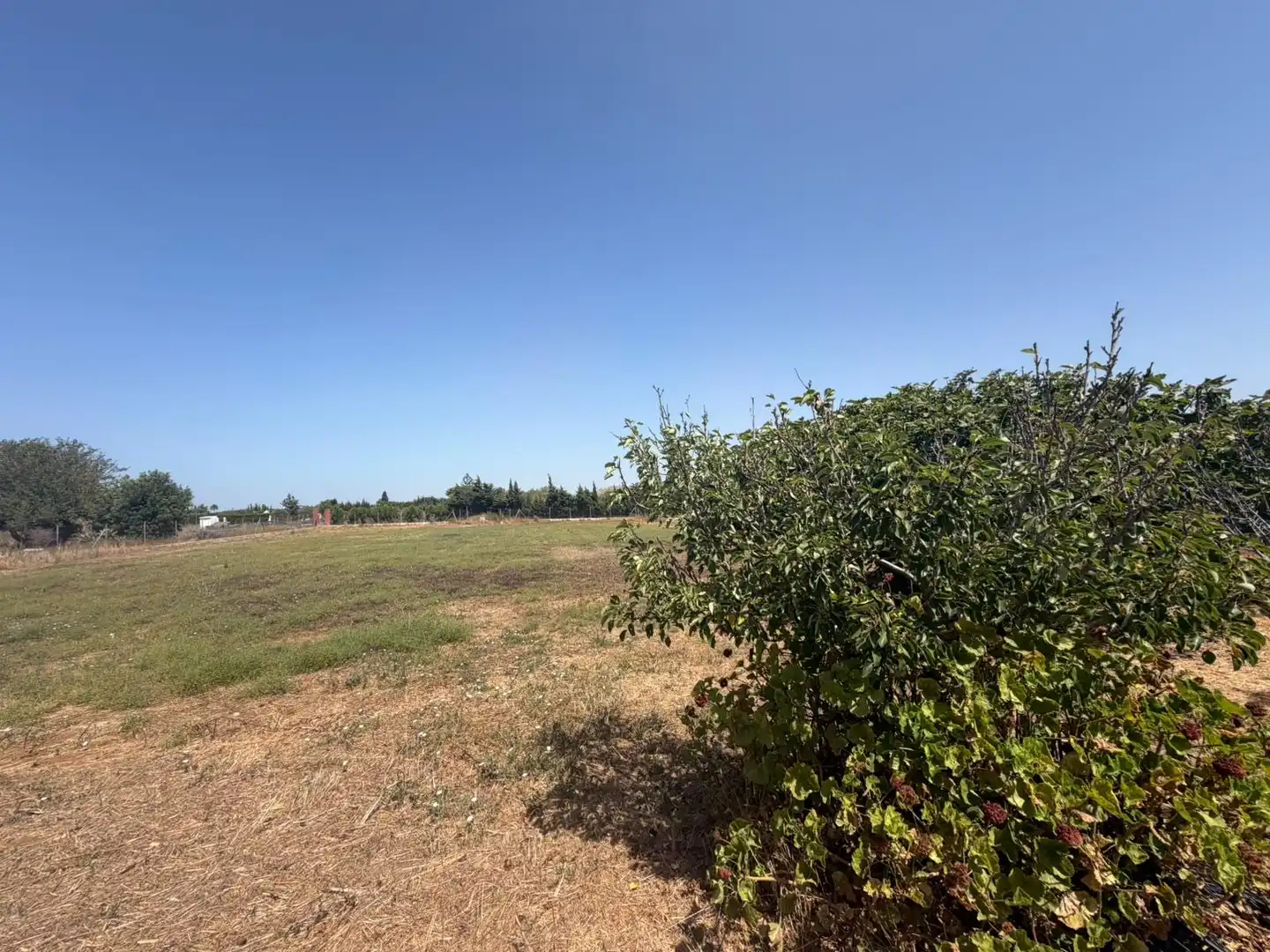 Casa rústica amb jardí en venda a Pelagatos - Pago del Humo, imagen 4