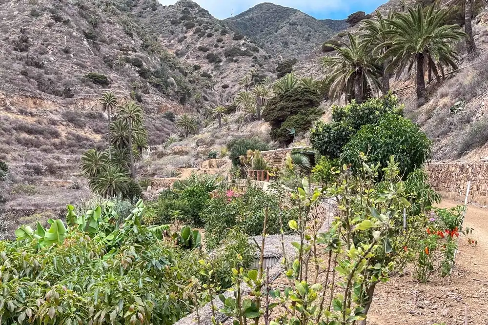 Jardín de Finca rústica en venta en Vallehermoso con Amueblado