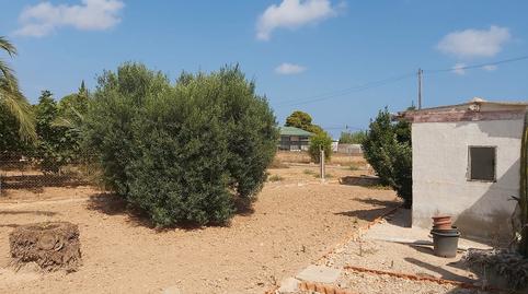 Photo 3 of House or chalet for sale in Torrellano, Elche / Elx