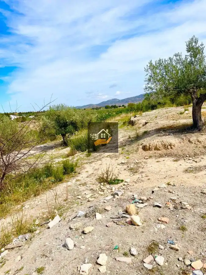 Finca rústica en venda en Vélez-Blanco amb Terrassa i Traster