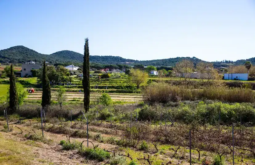Finca rústica en venta en Tordera