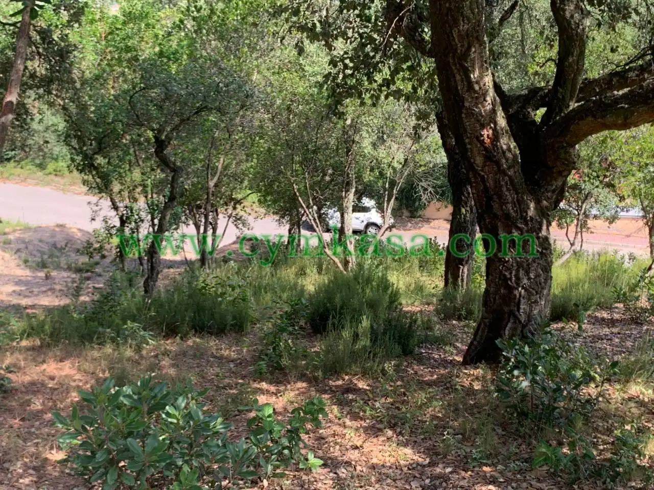 Terreny residencial en venda a Maçanet de la Selva pueblo, imagen 7