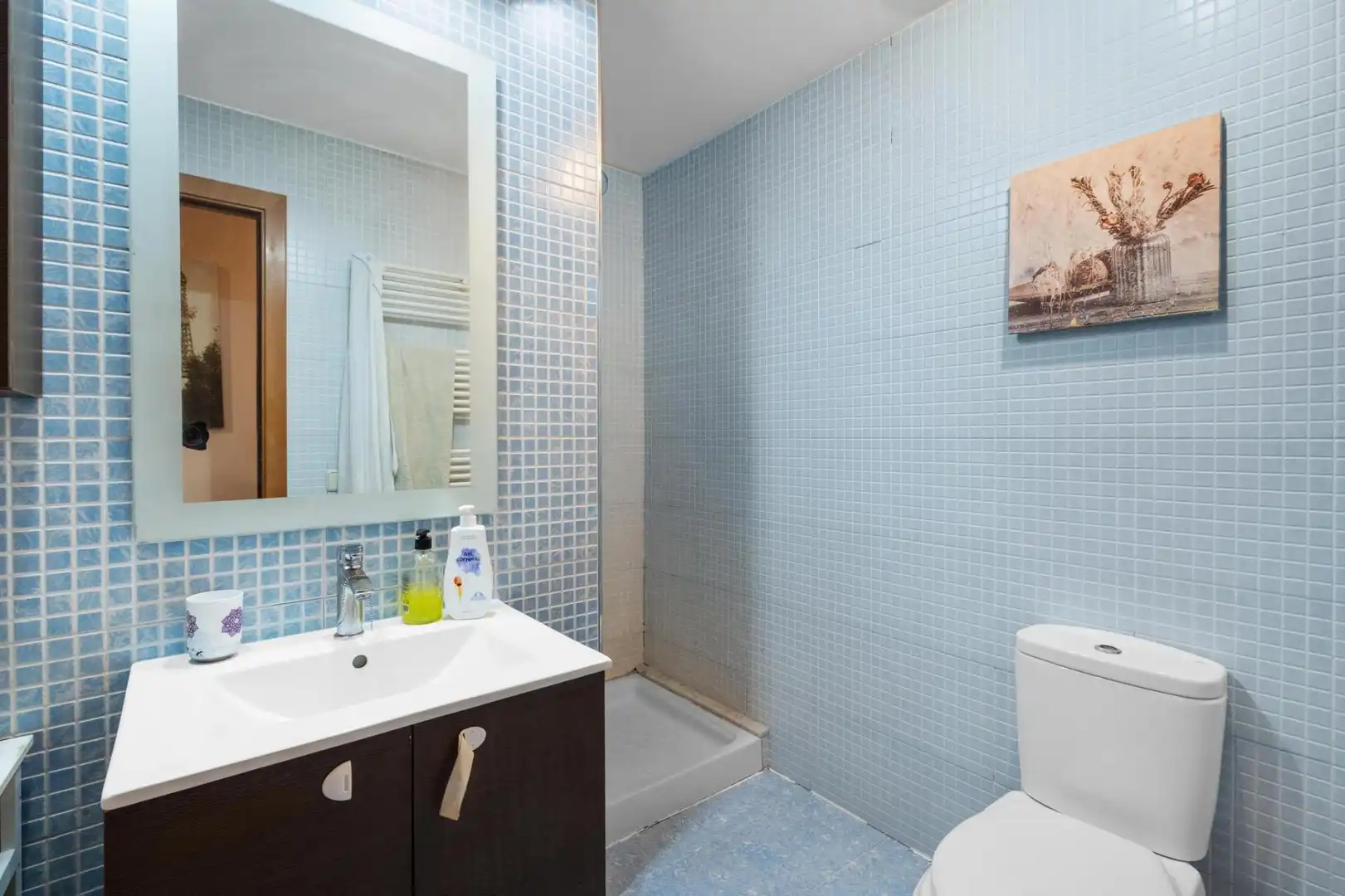 Bathroom of Apartments for sale in Girona