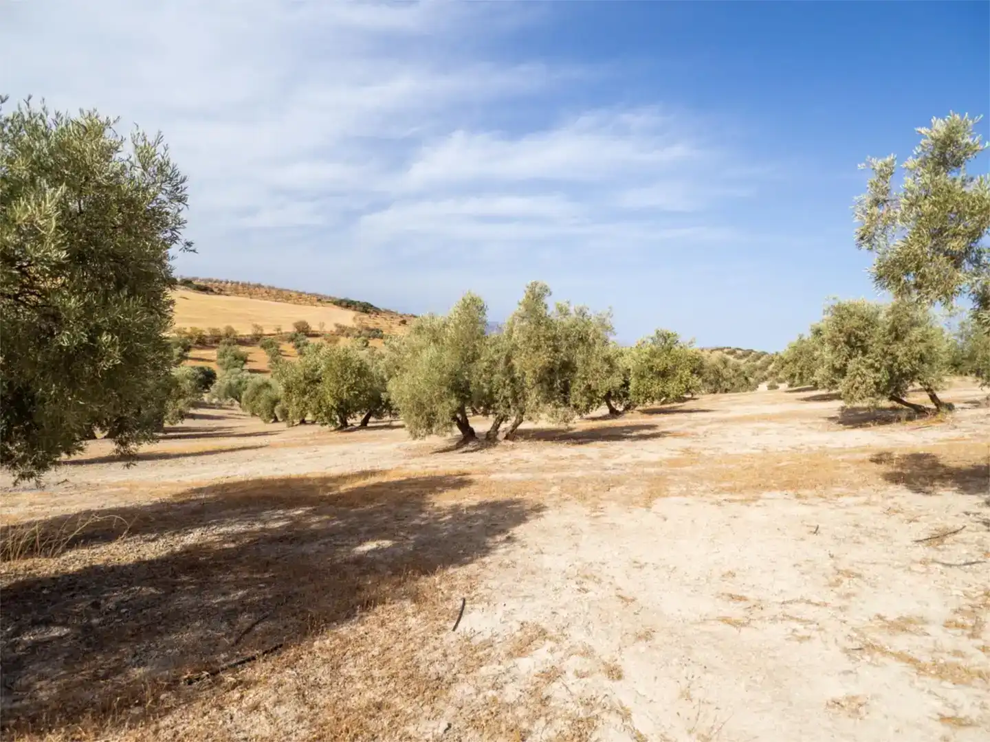 Finca rústica en venda en Alhama de Granada amb Aire condicionat i Piscina