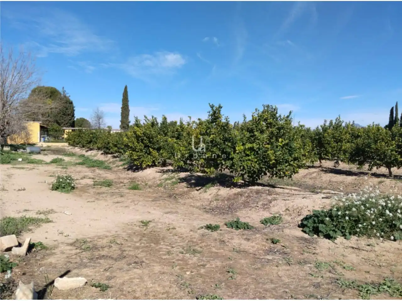 Terreny rústic en venda a Camino Huerta de Abajo, imagen 13