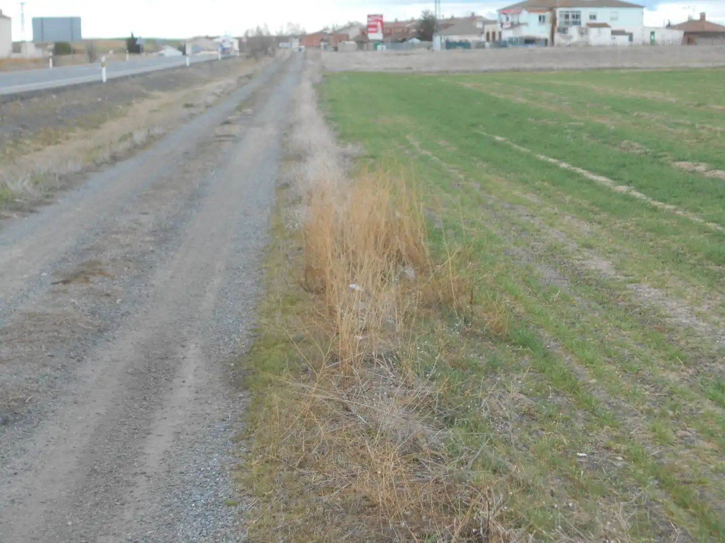Land for sale in San Pedro del Arroyo