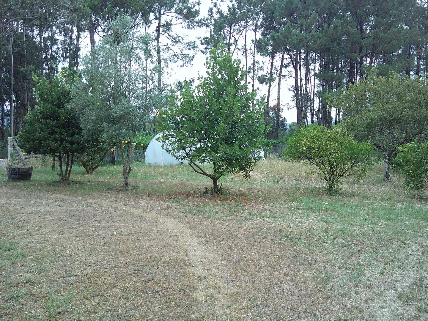 Casa o xalet en venda en Ribadumia amb Terrassa, Moblat i Balcó