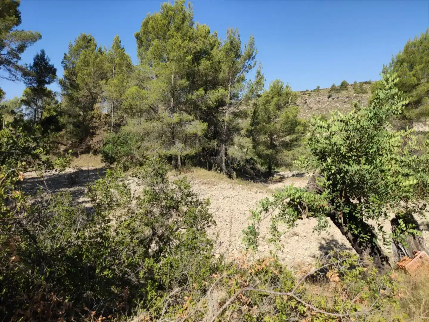 Terreno en venta en Busot