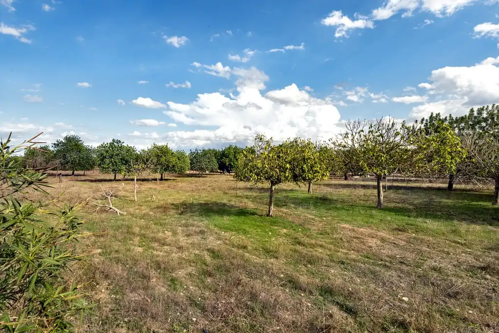 Country house for sale in Campanet, imagen 22