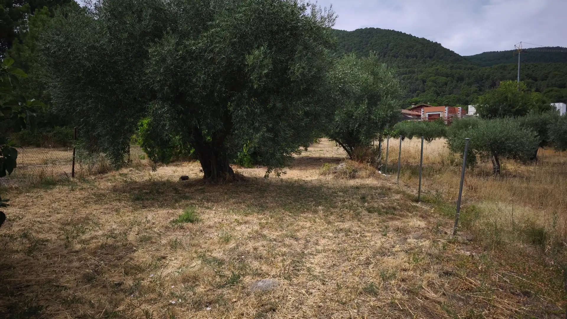 Terreni e lotti in vendita a Calle Cerquillas, imagen 3